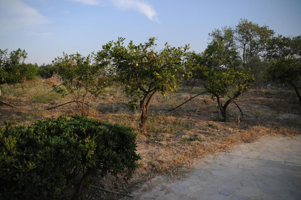 Holiday home στον λεμονόκηπο Nerantza