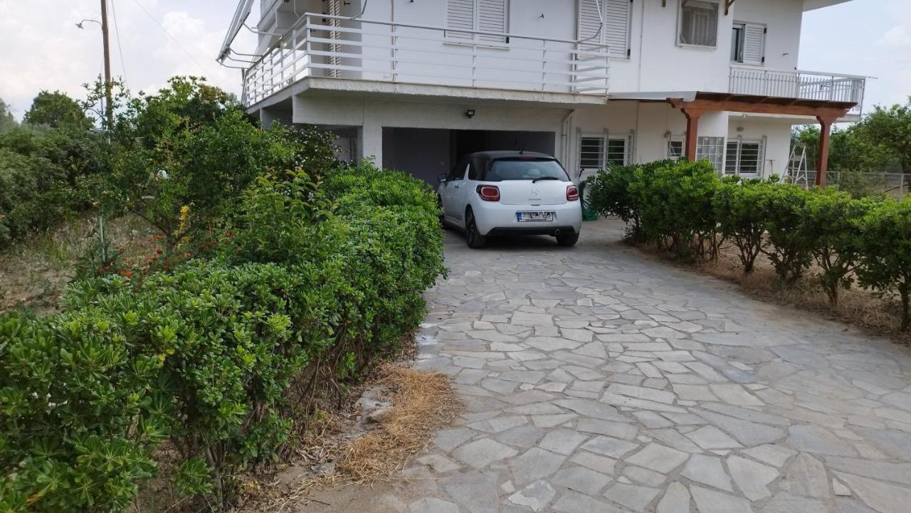στον λεμονόκηπο Nerantza