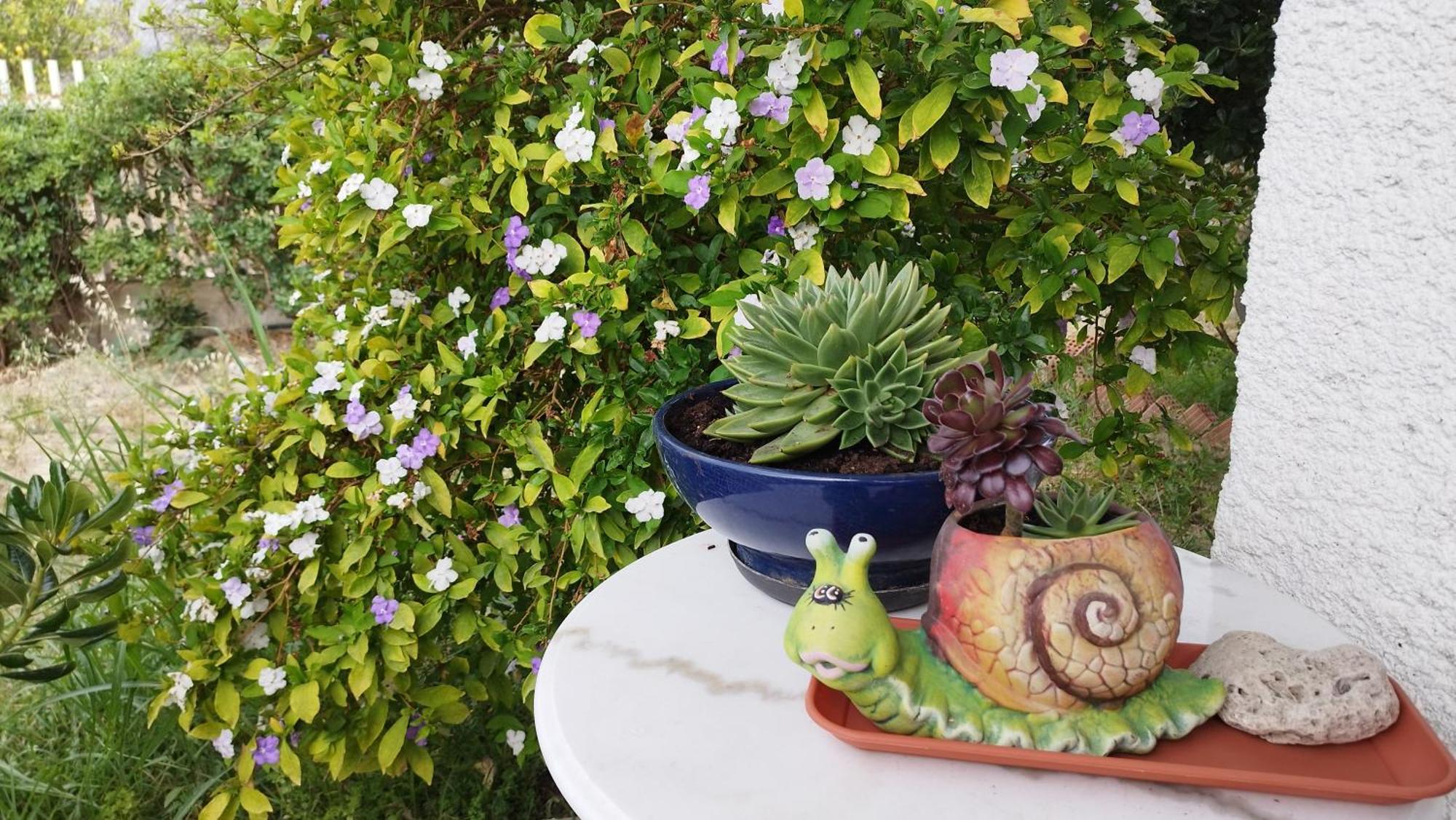 στον λεμονόκηπο Holiday home *