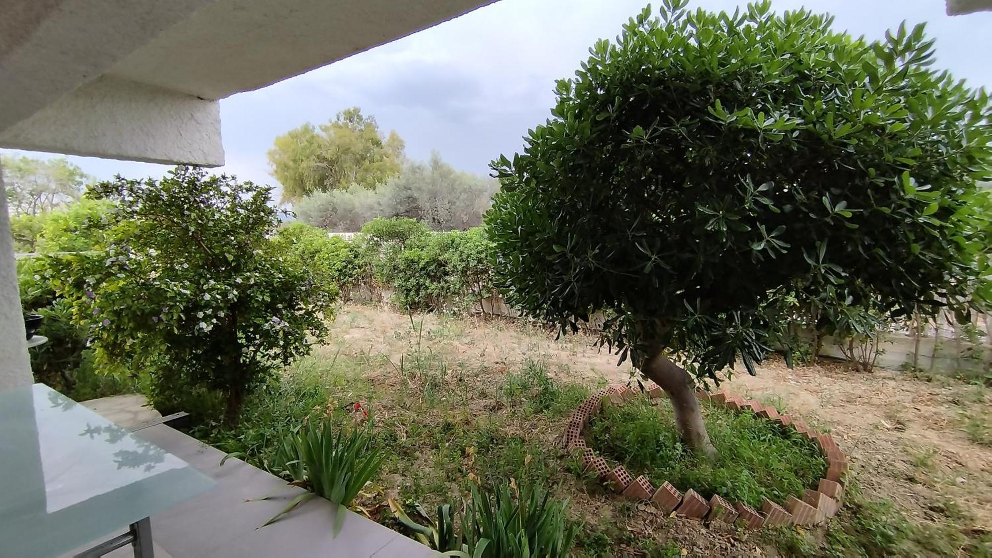 στον λεμονόκηπο Nerantza